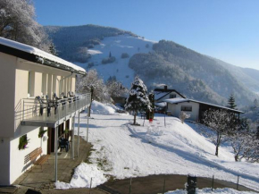 Steiert Panorama Apartments Todtnau